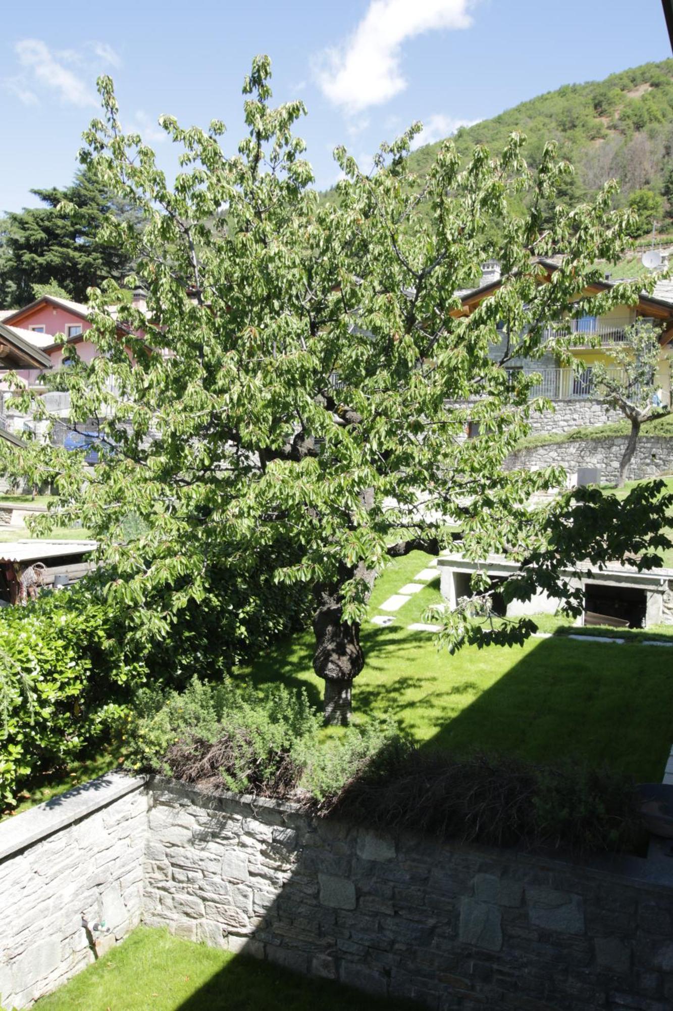 Style Apartments Vda Senin Zewnętrze zdjęcie